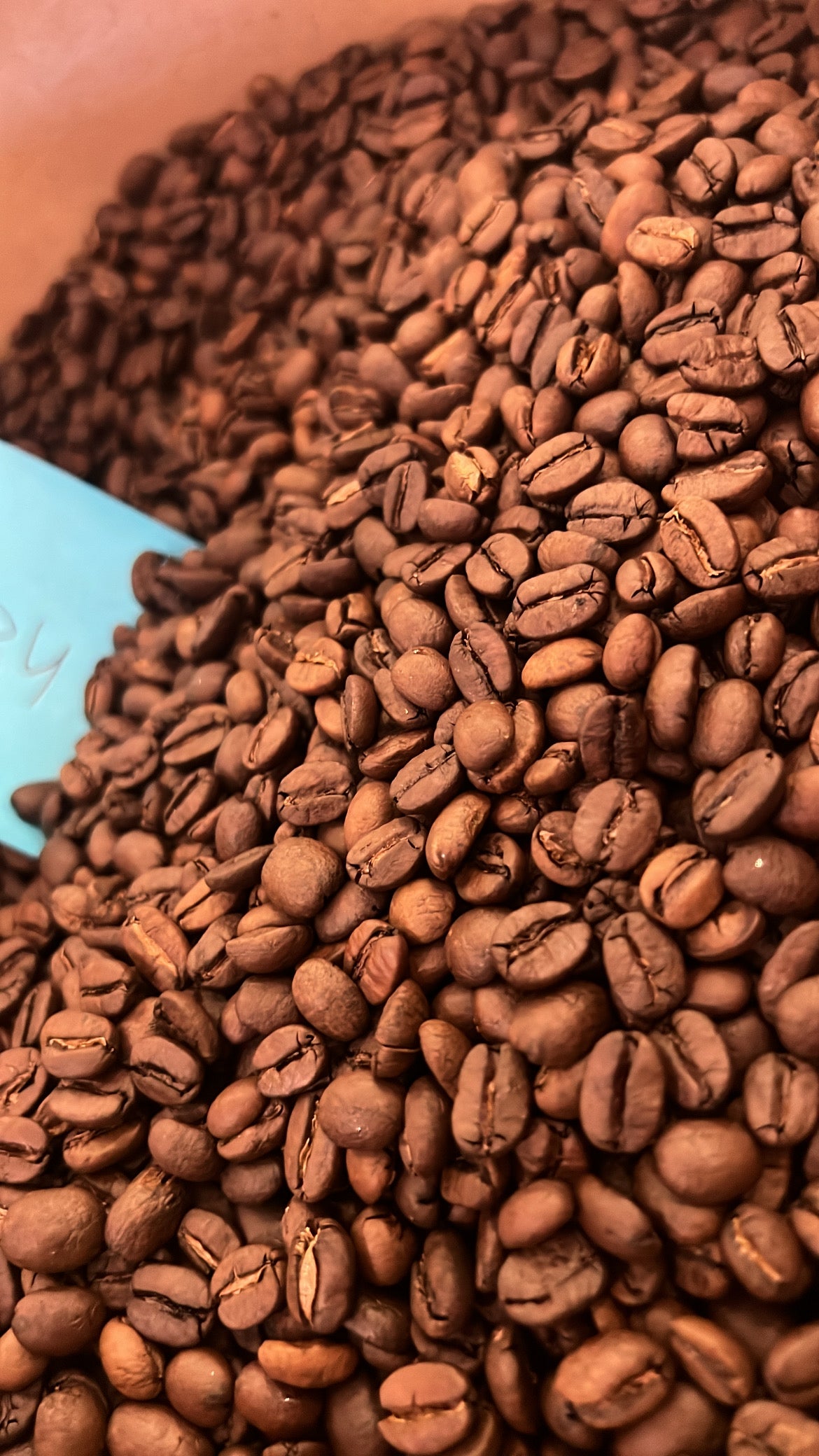 Close-up of roasted coffee beans with a blue scoop