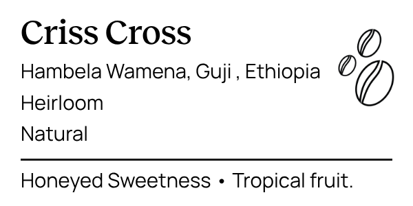 E4gn - Criss Cross medium