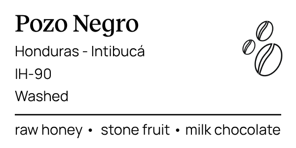 Pozo negro medium