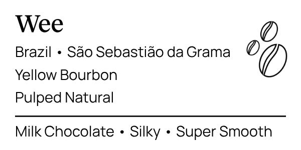 E2 - Brazil , Yellow Bourbon small