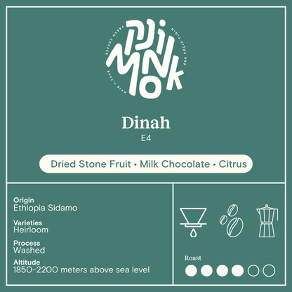 E4 - Dinah medium