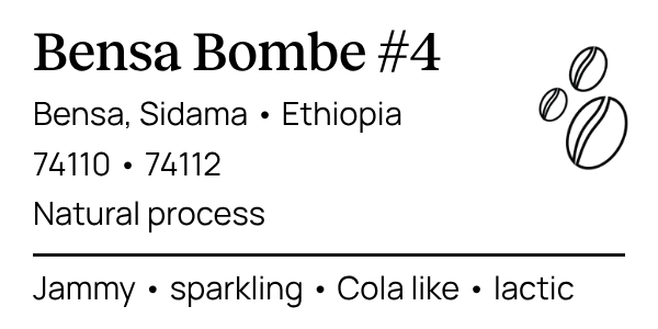 2B4 - Bensa Bombe #4 medium